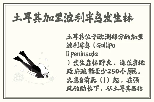 97色婷婷